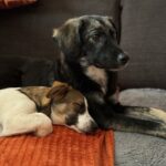 Jantje-und-Raya Jantje-und-Raya